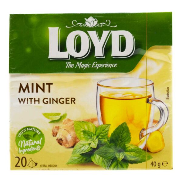 Loyd Mint Ginger